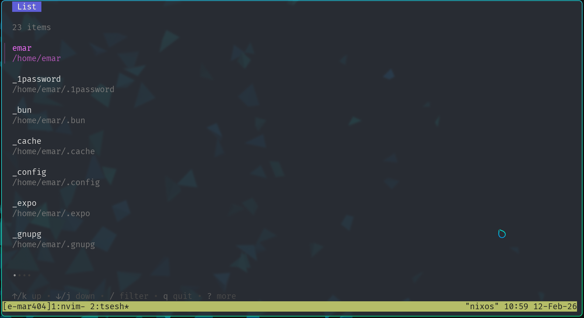 screenshot of tsesh directory list